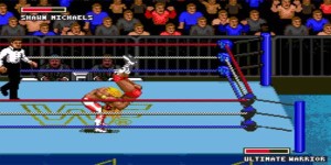 WWF1